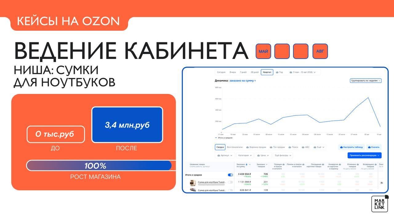 Данные кабинета Ozon: сумки для ноутбуков